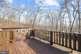 161 Graywolf Trail, Winchester, VA 22602 - Photo 24