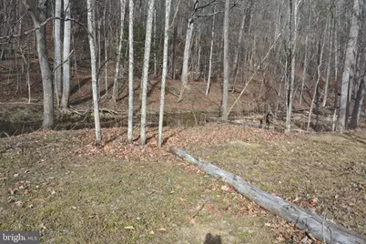 1970 Back Creek, Gore, VA 22637 - Photo 4