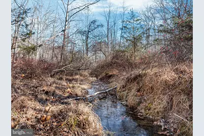 1990 Collinsville Road, Cross Junction, VA 22625 - Photo 4