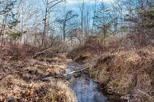 1990 Collinsville Rd, Cross Junction, VA 22625 - Photo 4