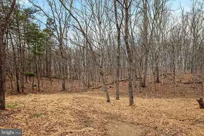 Lot 5 Snake Dr., Winchester, VA 22603 - Photo 10