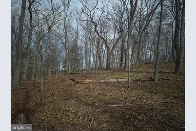 Lot 17 Hodges Lane, Winchester, VA 22603 - Photo 14