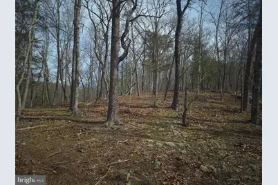 Lot 17 Hodges Lane, Winchester, VA 22603 - Photo 8