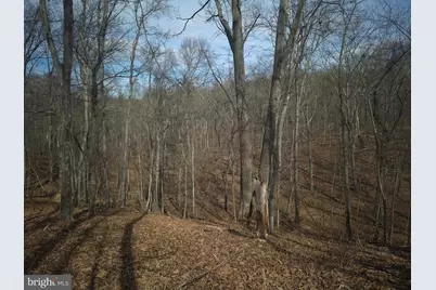 Lot 17 Hodges Lane, Winchester, VA 22603 - Photo 10