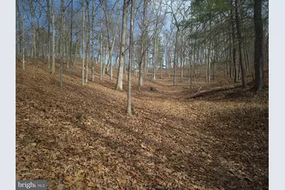Lot 16 Hodges Lane, Winchester, VA 22603 - Photo 2