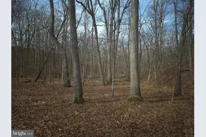 Lot 16 Hodges Lane, Winchester, VA 22603 - Photo 4