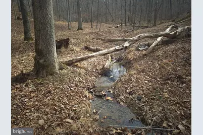 Lot 16 Hodges Lane, Winchester, VA 22603 - Photo 10