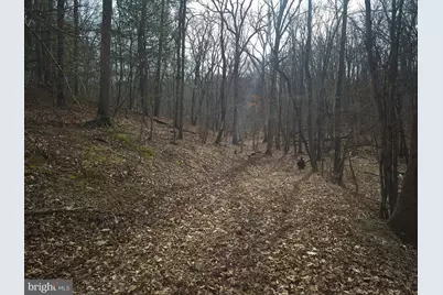 Lot 16 Hodges Lane, Winchester, VA 22603 - Photo 14