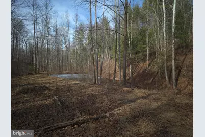 196 Hodges Lane, Winchester, VA 22603 - Photo 10