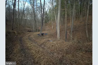 196 Hodges Lane, Winchester, VA 22603 - Photo 8