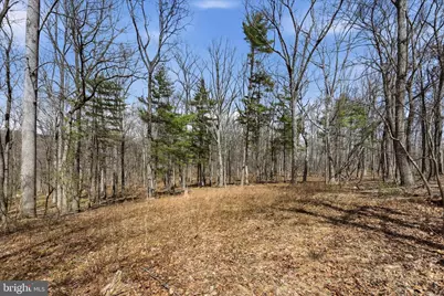 128 Charmwood Lane, Winchester, VA 22602 - Photo 50