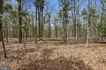 5.35 Ac # 16 B- Back Mountain Rd, Winchester, VA 22602 - Photo 2