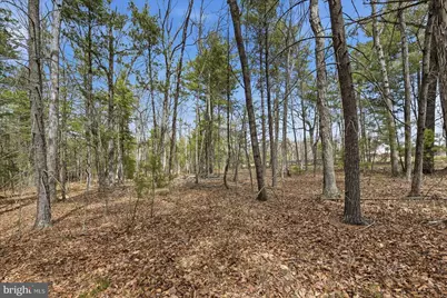 5.35 Ac # 16 B- Back Mountain Rd, Winchester, VA 22602 - Photo 4