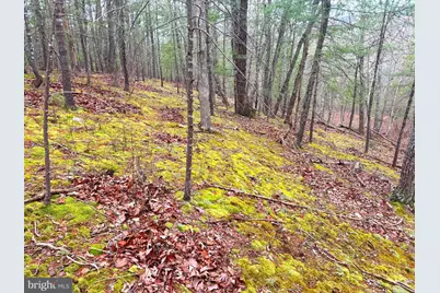 5.35 Ac # 16 F- Back Mountain Rd, Winchester, VA 22602 - Photo 6