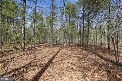 5.35 Ac # 16 F- Back Mountain Rd, Winchester, VA 22602 - Photo 4