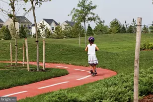 Snowden Bridge Blvd, Stephenson, VA 22656 - Photo 44