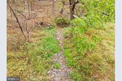 Lot 24M Bloomery Pike, Cross Junction, VA 22625 - Photo 14