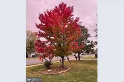 119 Foxglove Drive, Winchester, VA 22602 - Photo 64