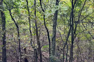 Lot 7 Oak Dr, Winchester, VA 22603 - Photo 1