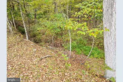 Lot 24L & 24M Bloomery Pike, Cross Junction, VA 22625 - Photo 16