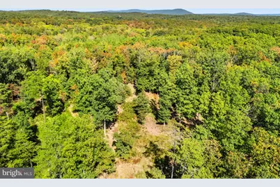 Lot 24L & 24M Bloomery Pike, Cross Junction, VA 22625 - Photo 6