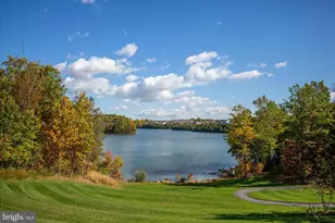 136 Mallard Dr, Lake Frederick, VA 22630 - Photo 64