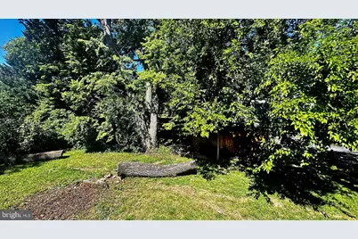 5241 Main Street, Stephens City, VA 22655 - Photo 52