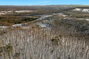 1501 S Timber Ridge Rd, Cross Junction, VA 22625 - Photo 58