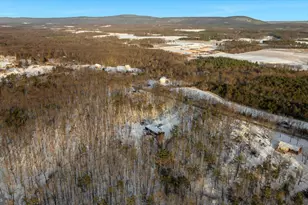 1501 S Timber Ridge Rd, Cross Junction, VA 22625 - Photo 52