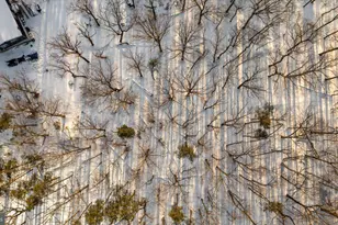 1501 S Timber Ridge Rd, Cross Junction, VA 22625 - Photo 56