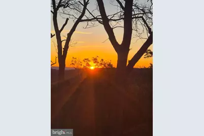 115 Dogwood Trail, Winchester, VA 22602 - Photo 4