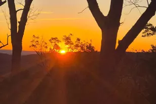 115 Dogwood Trail, Winchester, VA 22602 - Photo 4