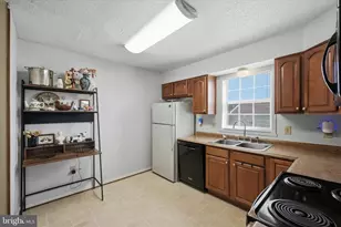 202 Emily Ln, Winchester, VA 22602 - Photo 14