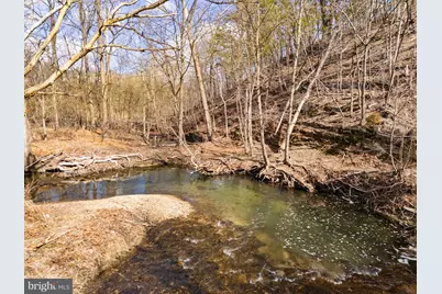 113 Worsham Terrace, Winchester, VA 22602 - Photo 64