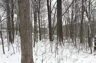 Lot 68 Killbuck Trail, Winchester, VA 22602 - Photo 1