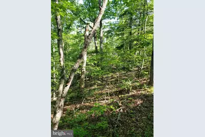 0 Lakeview, Cross Junction, VA 22625 - Photo 8