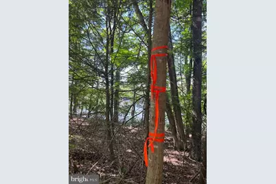 Southwood Dr-Lake Front, Cross Junction, VA 22625 - Photo 8