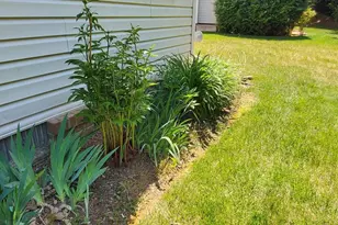 153 Harvest Ridge Dr, Winchester, VA 22601 - Photo 30