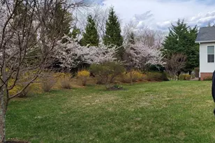 153 Harvest Ridge Dr, Winchester, VA 22601 - Photo 32