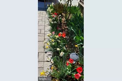 201 Liberty Lane, Middletown, VA 22645 - Photo 34