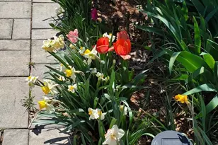 201 Liberty Ln, Middletown, VA 22645 - Photo 34