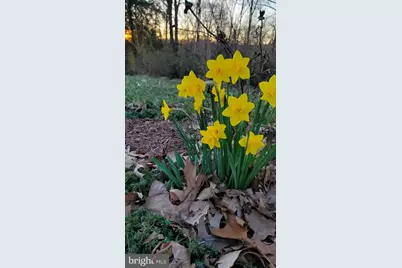 201 Liberty Lane, Middletown, VA 22645 - Photo 32