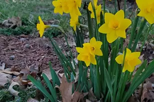 201 Liberty Ln, Middletown, VA 22645 - Photo 32