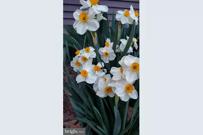 201 Liberty Lane, Middletown, VA 22645 - Photo 36