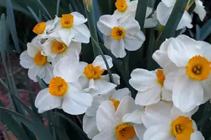 201 Liberty Ln, Middletown, VA 22645 - Photo 36