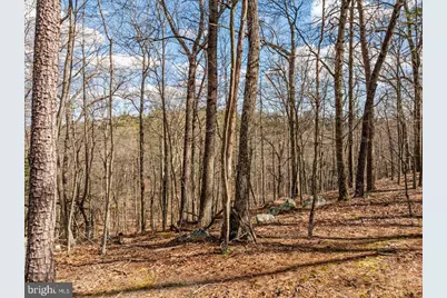 Lot 18 - Loop Court, Cross Junction, VA 22625 - Photo 8