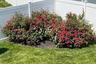 124 Nathan Dr, Stephens City, VA 22655 - Photo 40