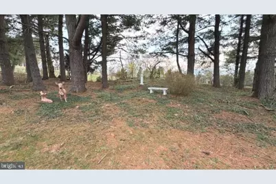 234 Hopewell Road, Clear Brook, VA 22624 - Photo 66