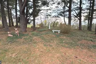 234 Hopewell Rd, Clear Brook, VA 22624 - Photo 66