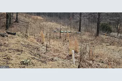 1079 Gun Club Road, Stephenson, VA 22656 - Photo 20